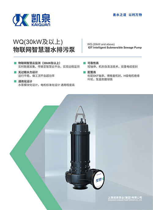 WQ（30KW及以上）潜水排污泵
